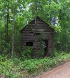 55 Acres for Sale Carroll County Ga.