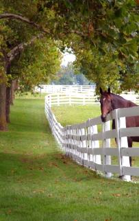 West Ga / Carrollton Homes, Farms & Land For Sale. American Hometown Realty